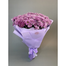 Букет фиолетових хризантем